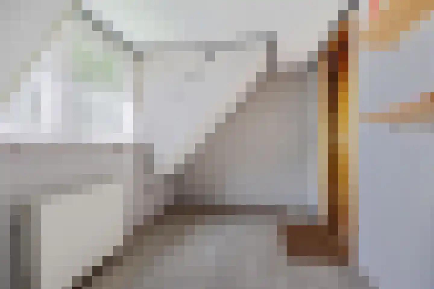Westerstraat 207 Ter Apel thumbnail 34