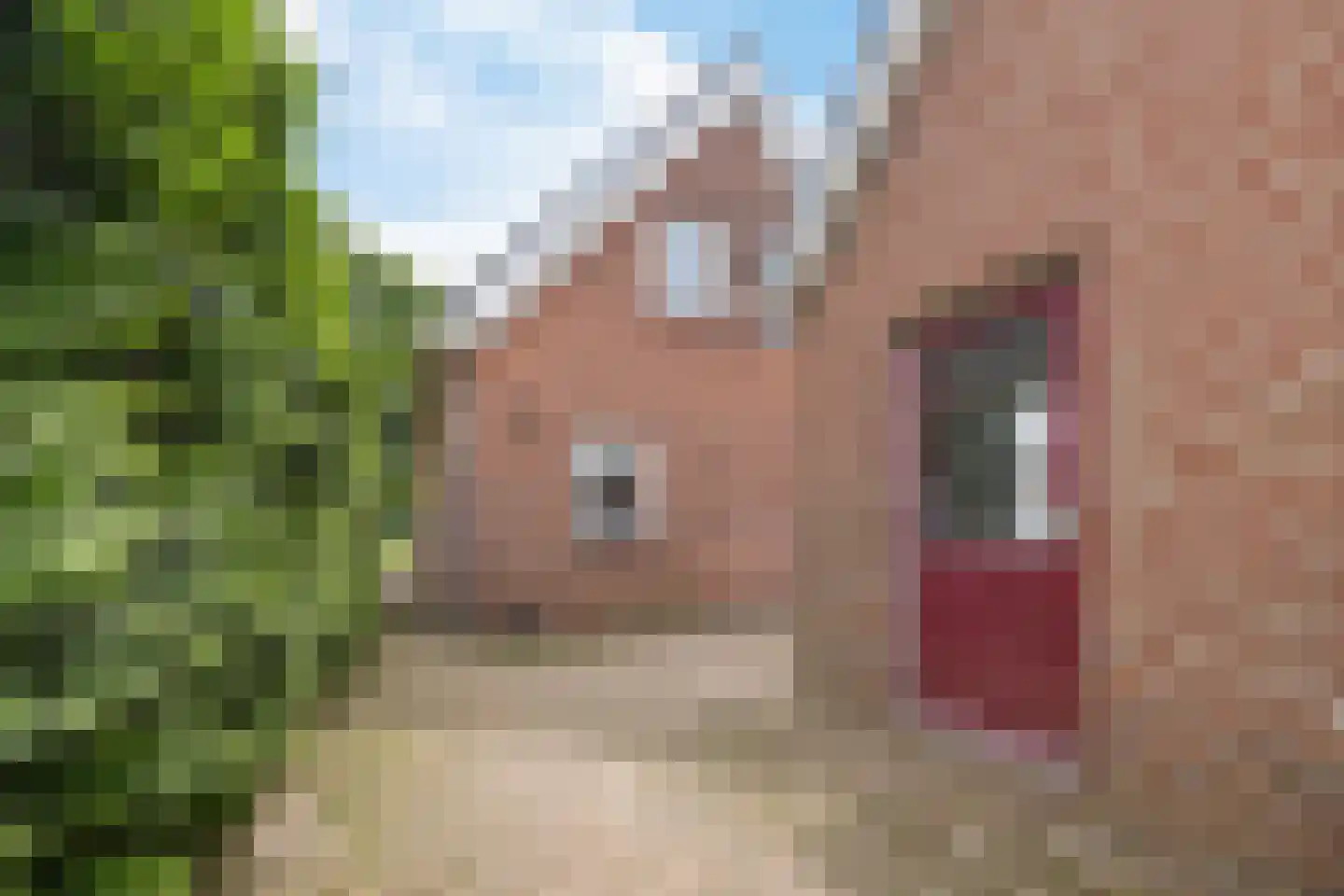 Westerstraat 207 Ter Apel thumbnail 35