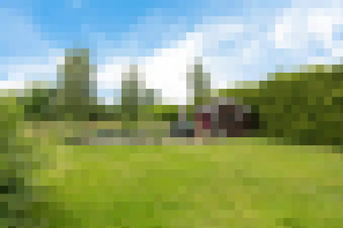 Westerstraat 207 Ter Apel thumbnail 37