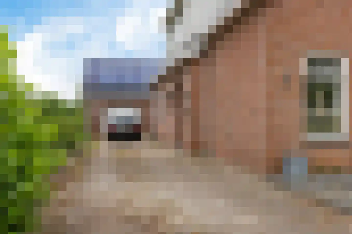 Westerstraat 207 Ter Apel thumbnail 4