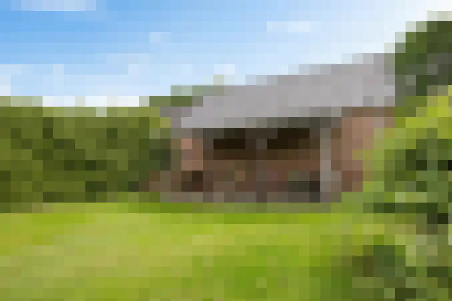Westerstraat 207 Ter Apel thumbnail 40