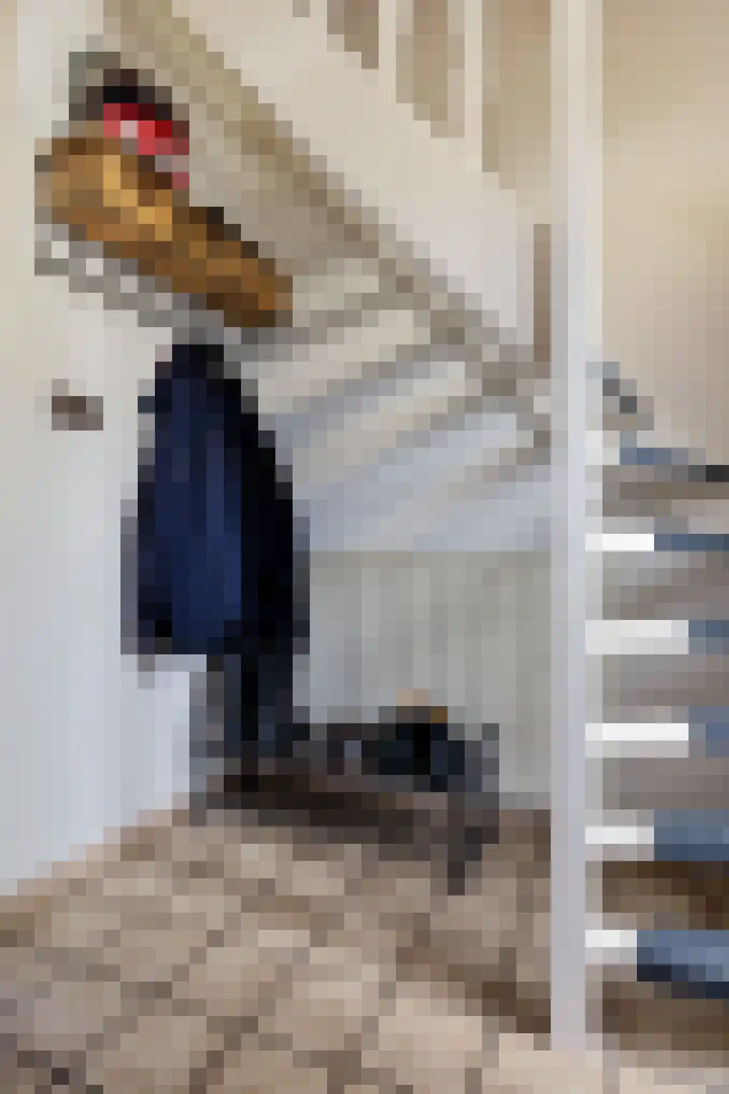Westerstraat 207 Ter Apel thumbnail 7