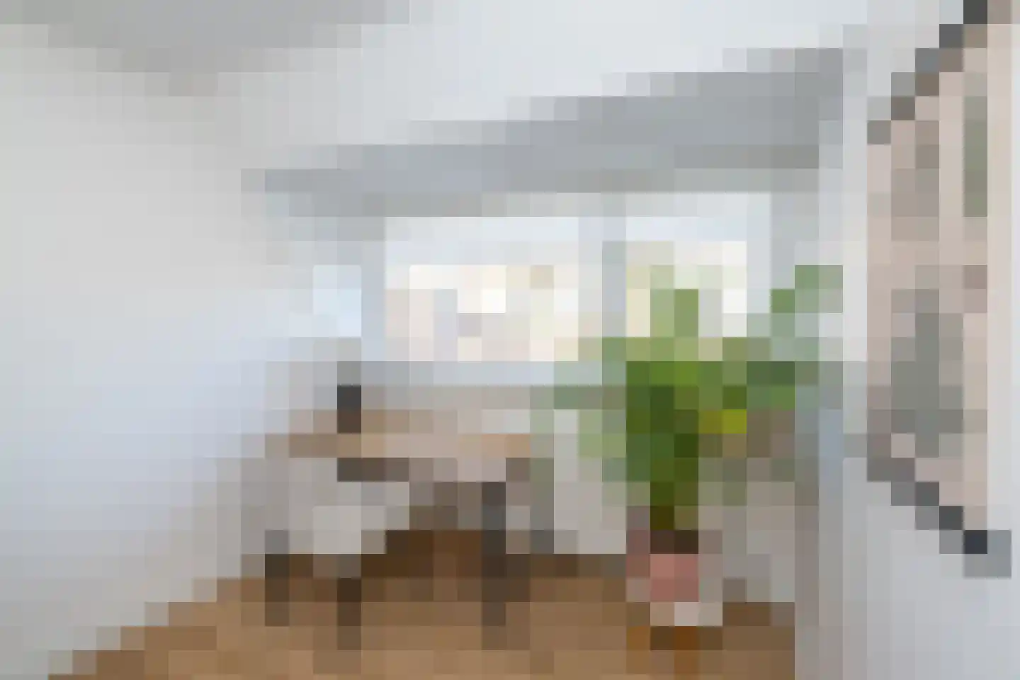 Westerstraat 21 Zwolle thumbnail 48