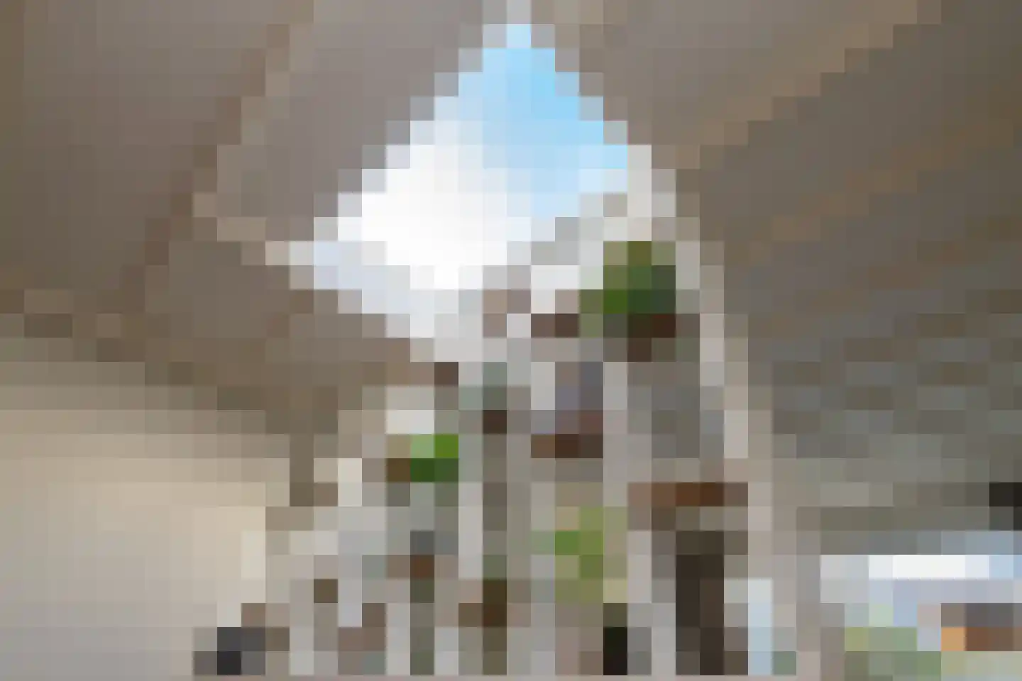 Westerstraat 21 Zwolle thumbnail 8