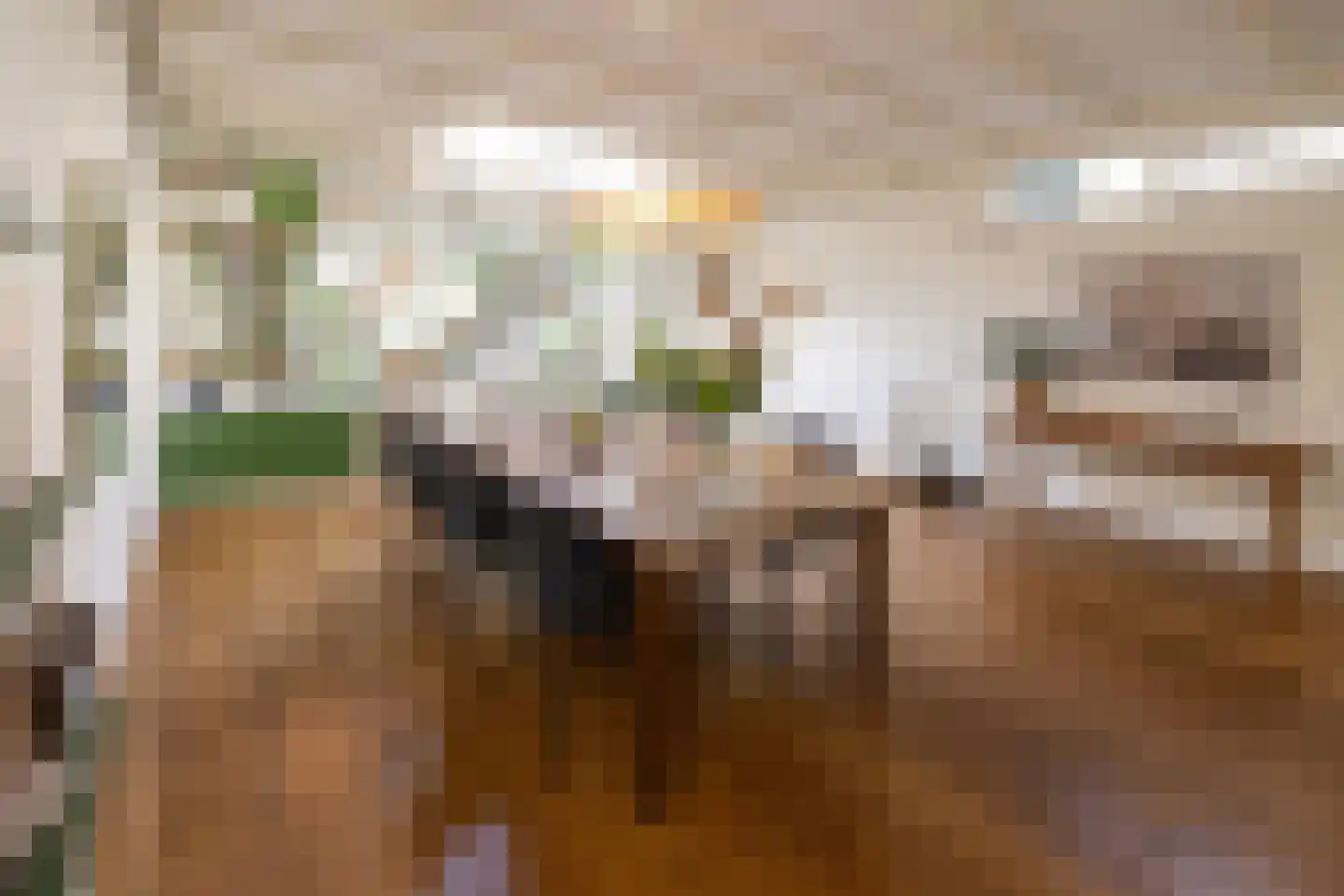 Westerstraat 21 Zwolle thumbnail 9