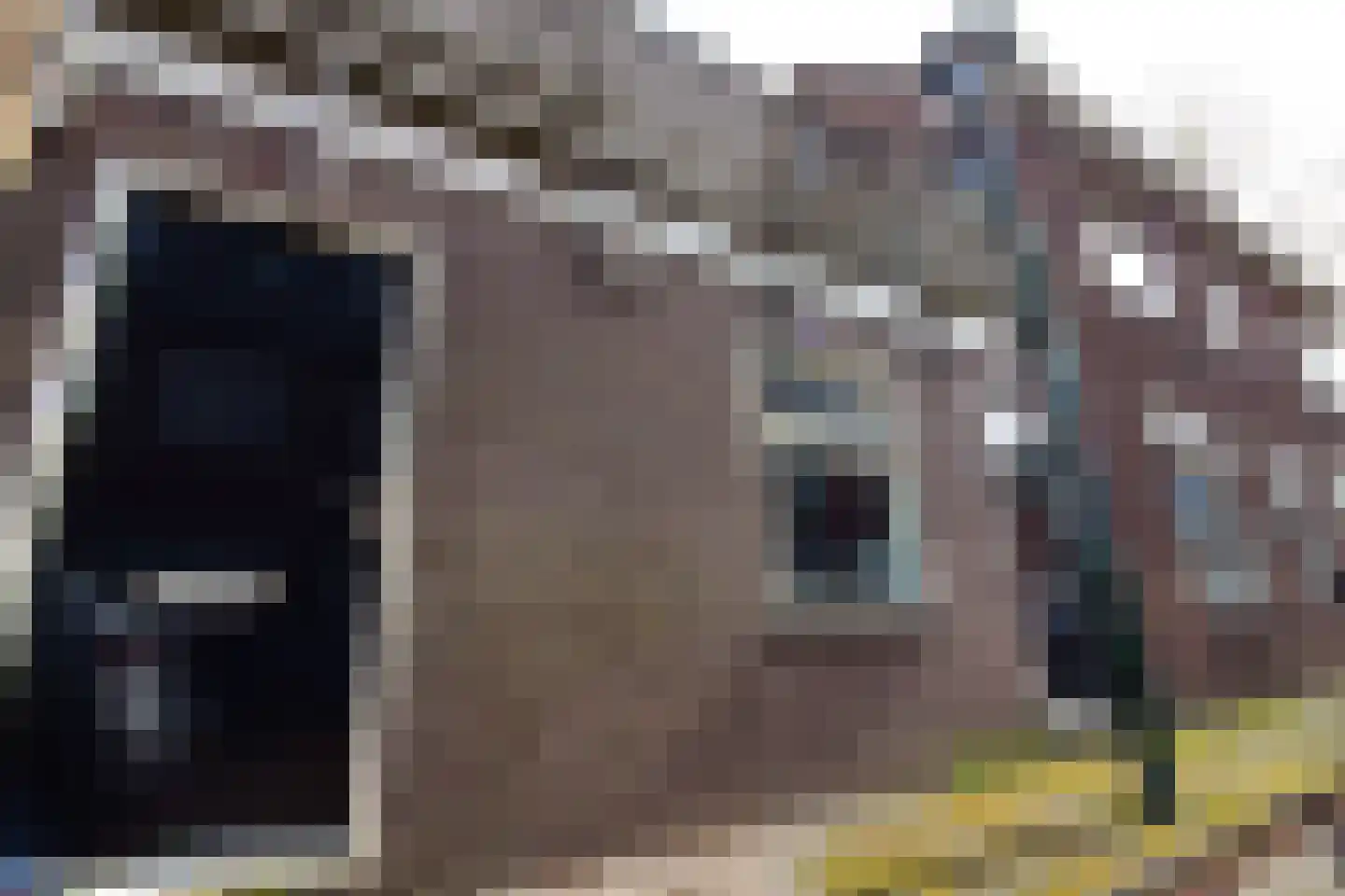Westerstraat 220 Enkhuizen thumbnail 27