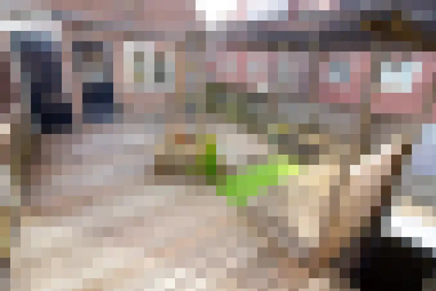 Westerstraat 220 Enkhuizen thumbnail 37
