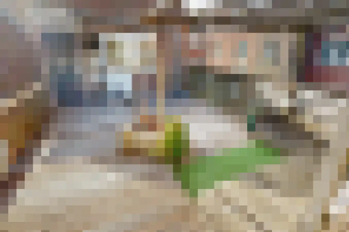 Westerstraat 220 Enkhuizen thumbnail 38