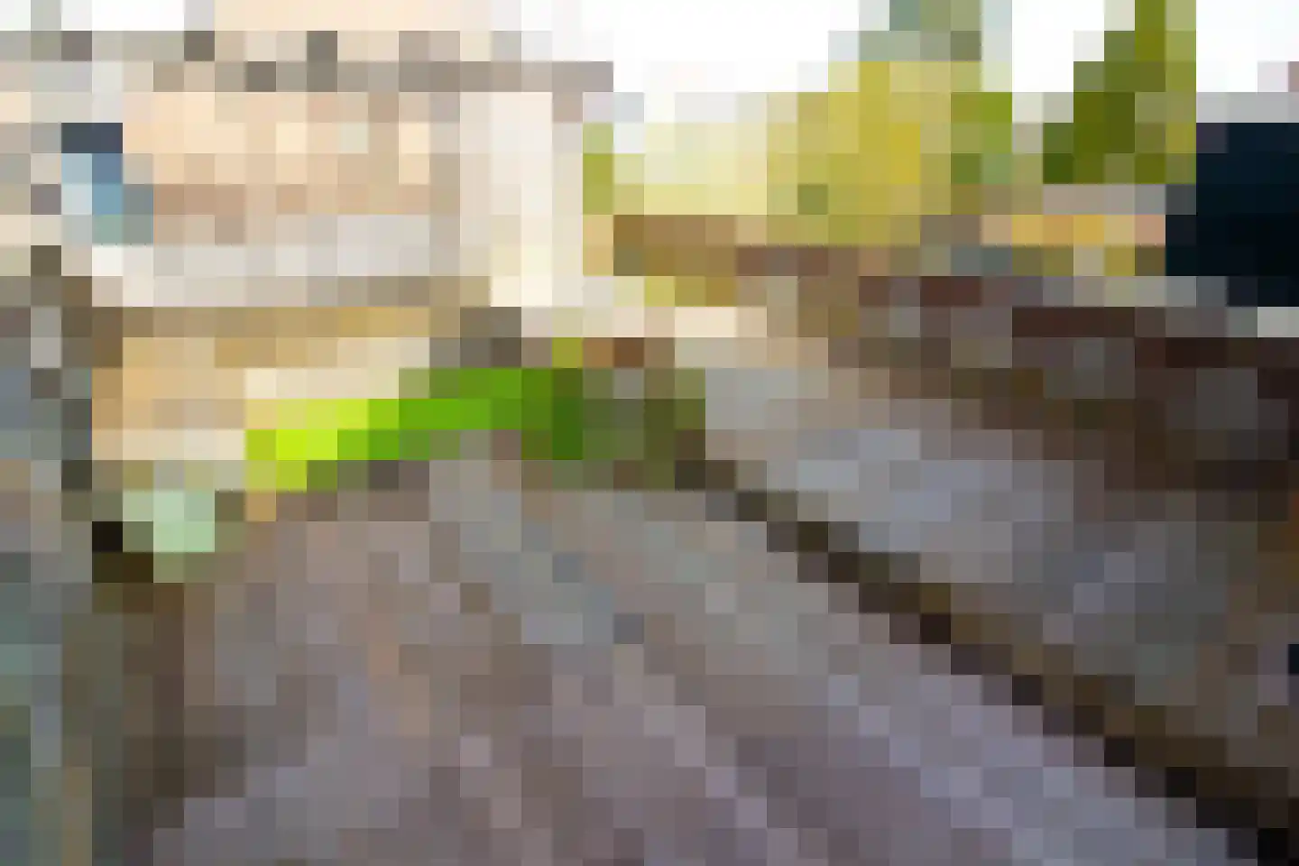 Westerstraat 220 Enkhuizen thumbnail 41