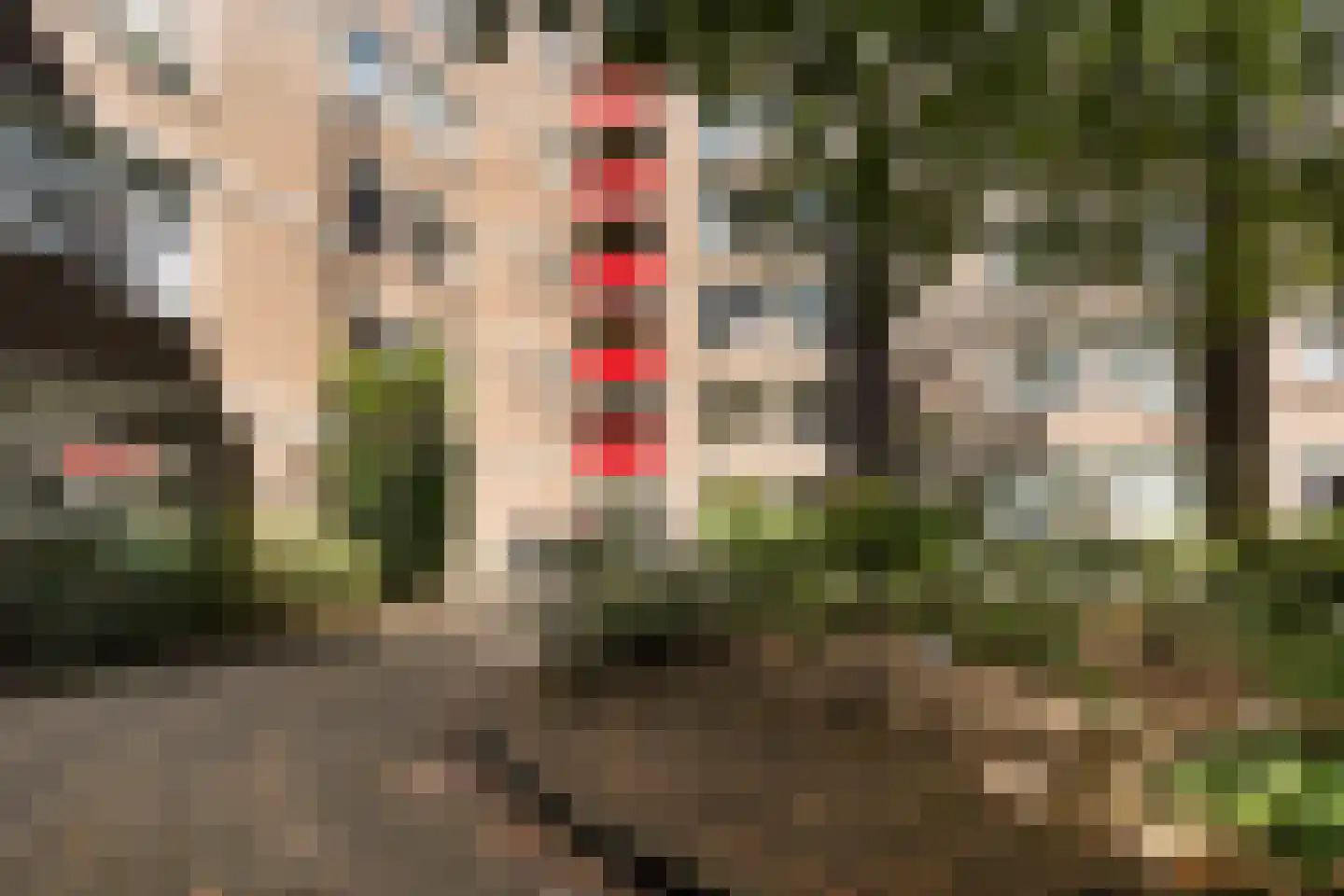 Westerstraat 224 Enschede thumbnail 14