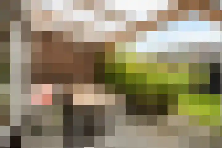 Westerstraat 23 Dalfsen thumbnail 30