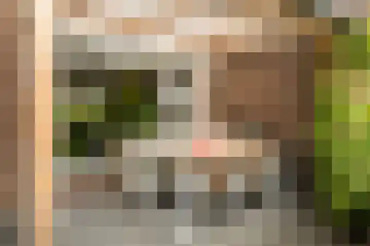 Westerstraat 23 Dalfsen thumbnail 31