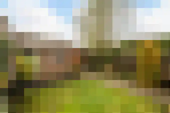 Westerstraat 23 Dalfsen thumbnail 32
