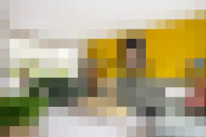 Westerstraat 23 Dalfsen thumbnail 9