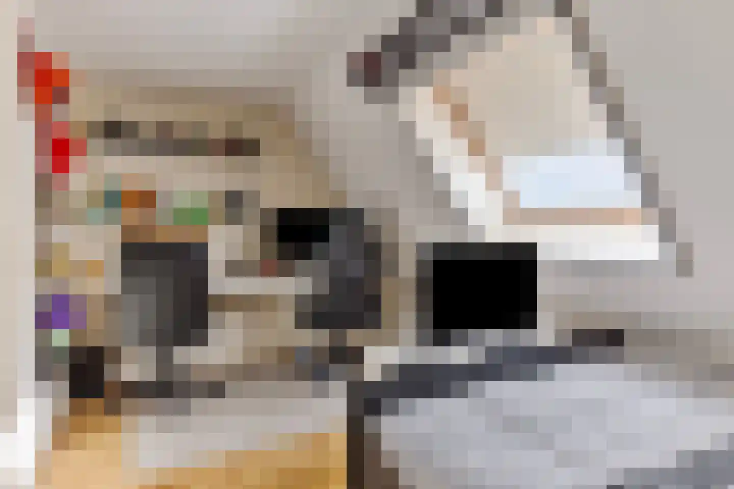 Westerstraat 23 Ter Apel thumbnail 26