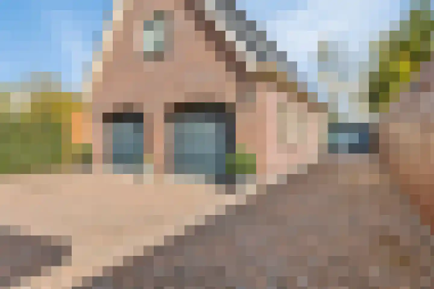 Westerstraat 23 Ter Apel thumbnail 33