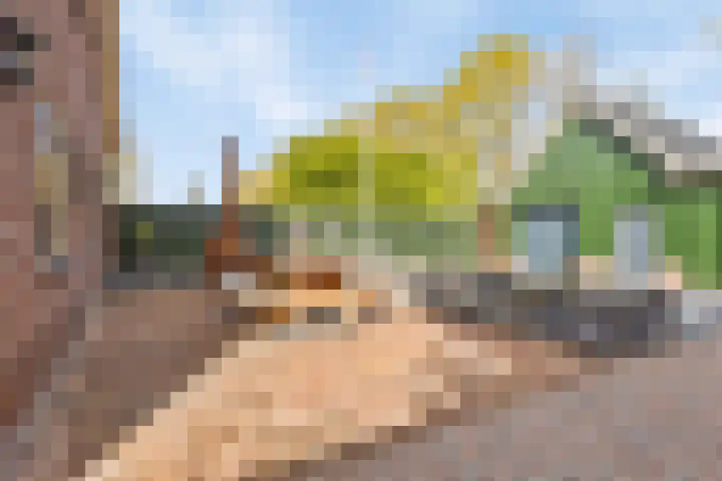 Westerstraat 23 Ter Apel thumbnail 35