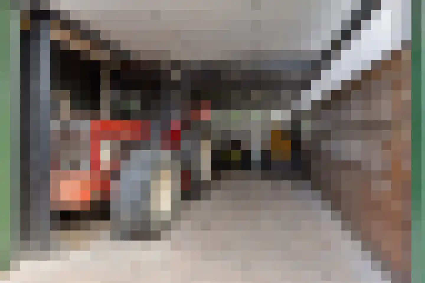 Westerstraat 23 Ter Apel thumbnail 38