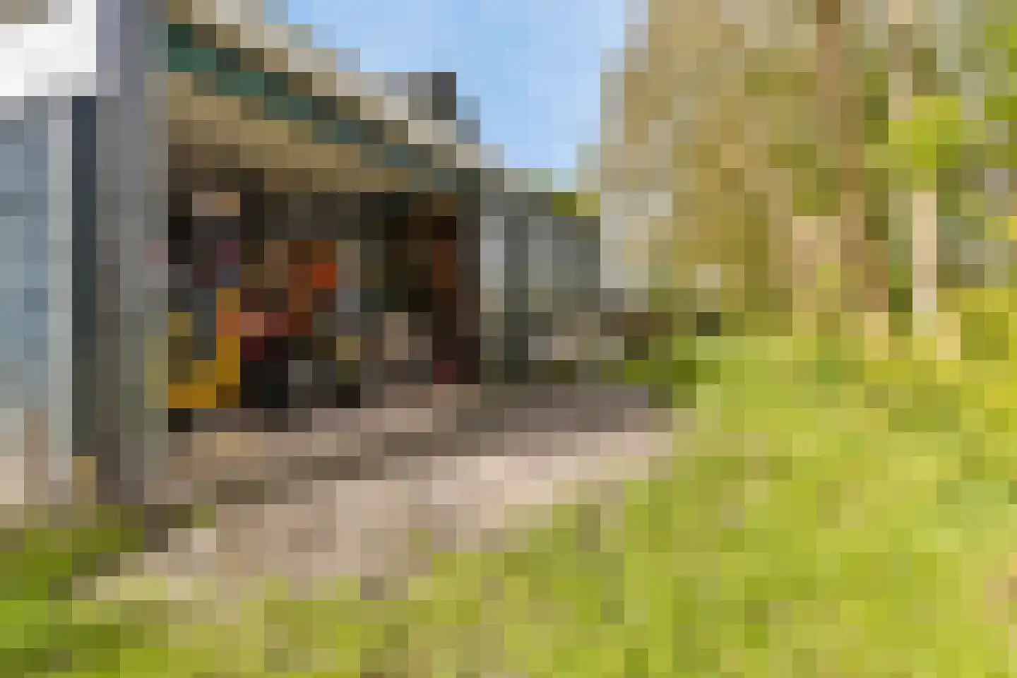 Westerstraat 23 Ter Apel thumbnail 41
