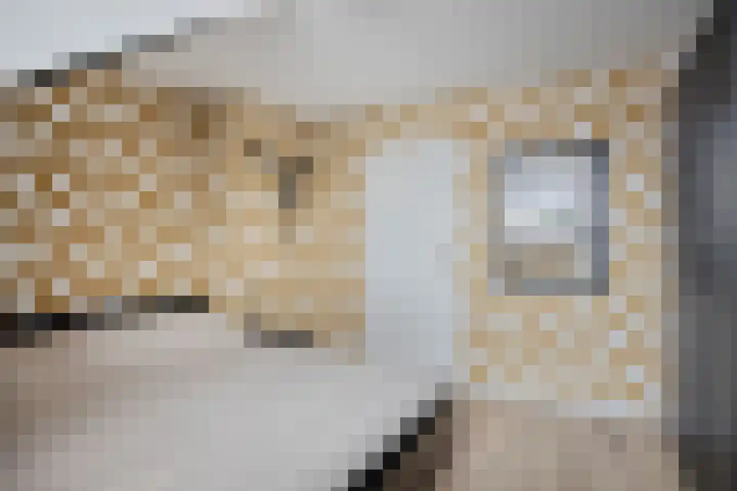Westerstraat 25 Dinteloord thumbnail 11