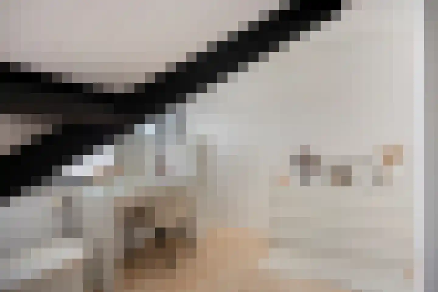 Westerstraat 25 Dinteloord thumbnail 15