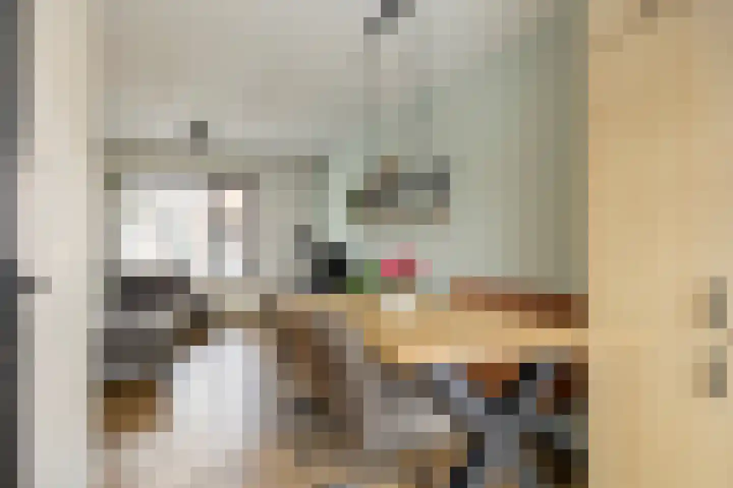 Westerstraat 25 Dinteloord thumbnail 5