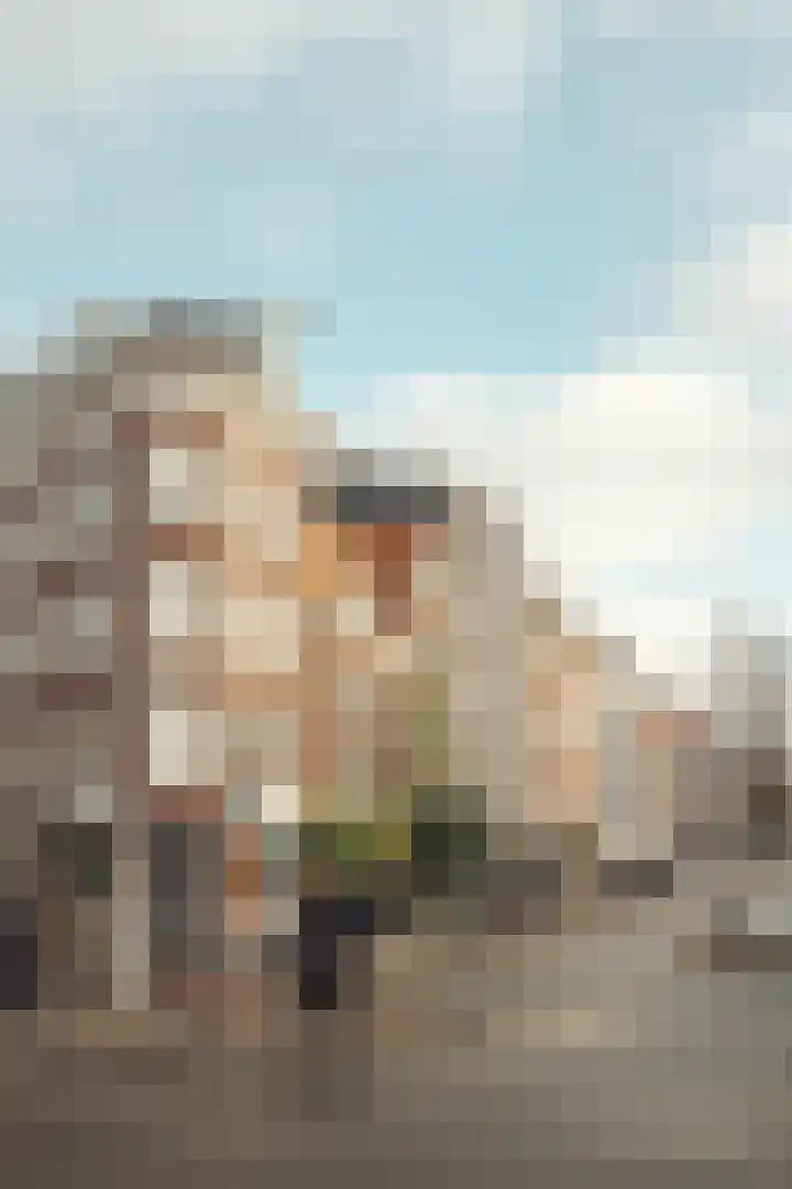 Westerstraat 266 2 Amsterdam thumbnail 25