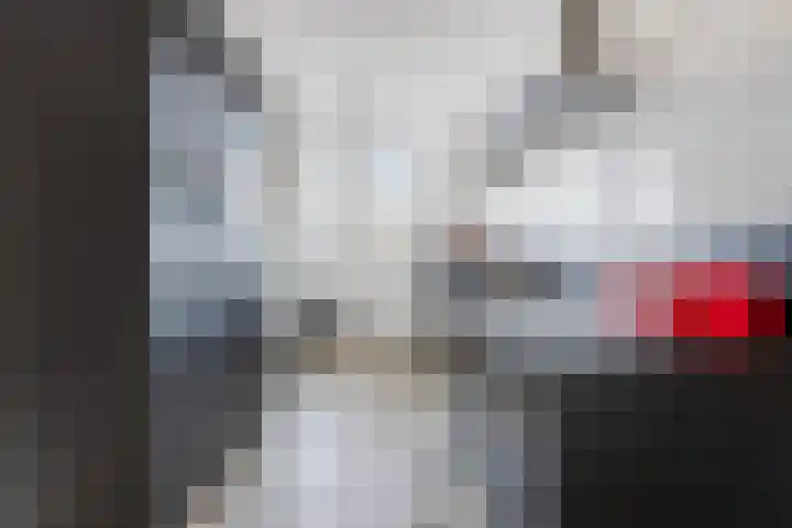 Westerstraat 27 Dinteloord thumbnail 15