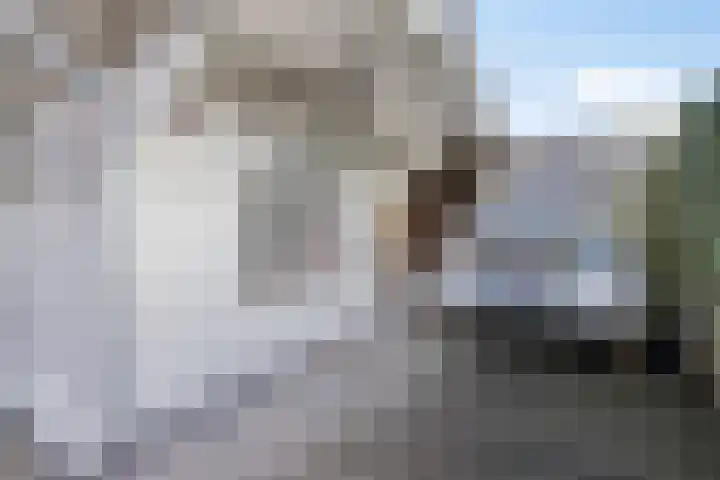 Westerstraat 27 Dinteloord thumbnail 19