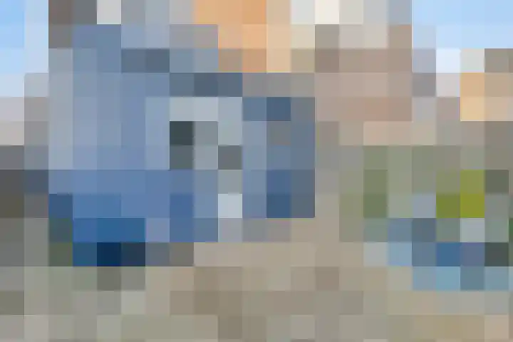 Westerstraat 27 Dinteloord thumbnail 21