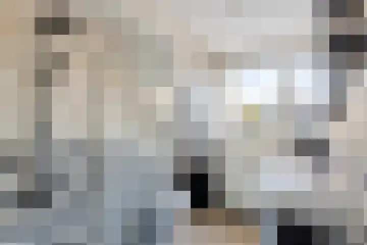 Westerstraat 27 Dinteloord thumbnail 29