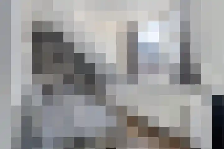 Westerstraat 27 Dinteloord thumbnail 31