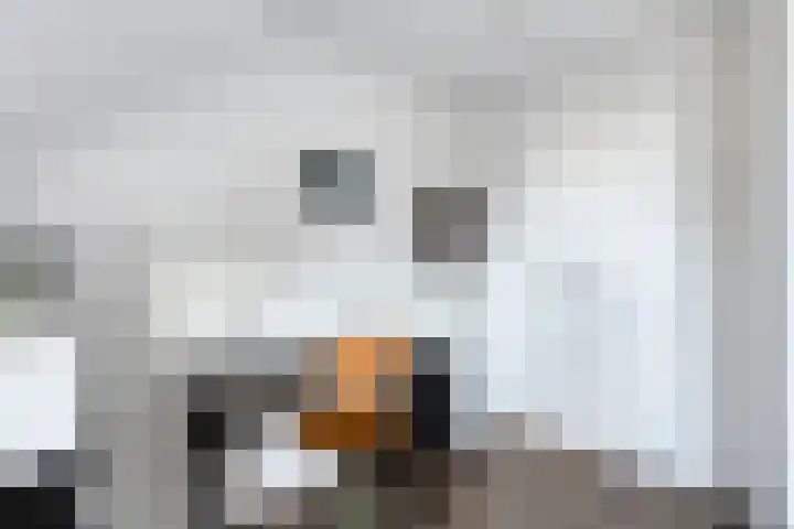 Westerstraat 27 Dinteloord thumbnail 33