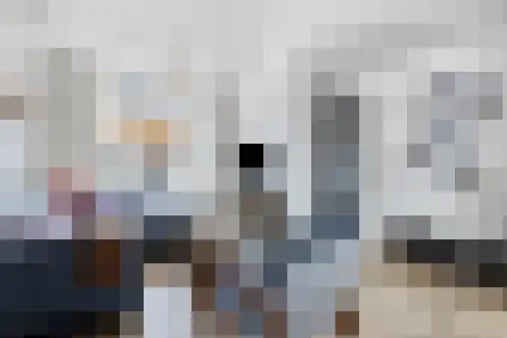 Westerstraat 27 Dinteloord thumbnail 8