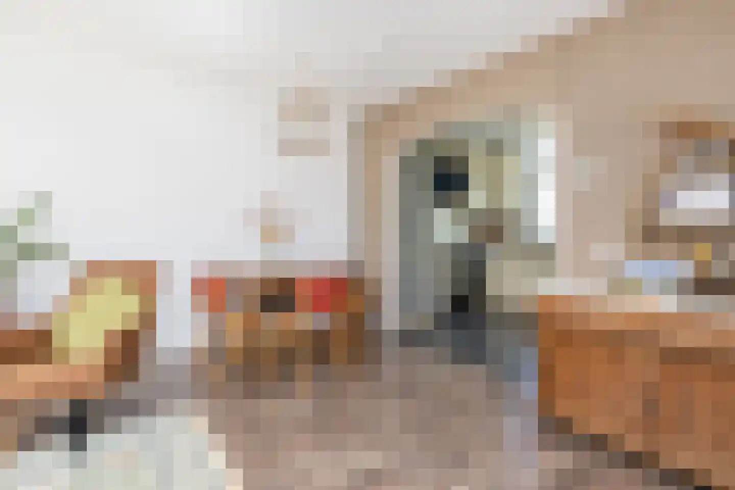 Westerstraat 3 Nieuwe-Tonge thumbnail 10