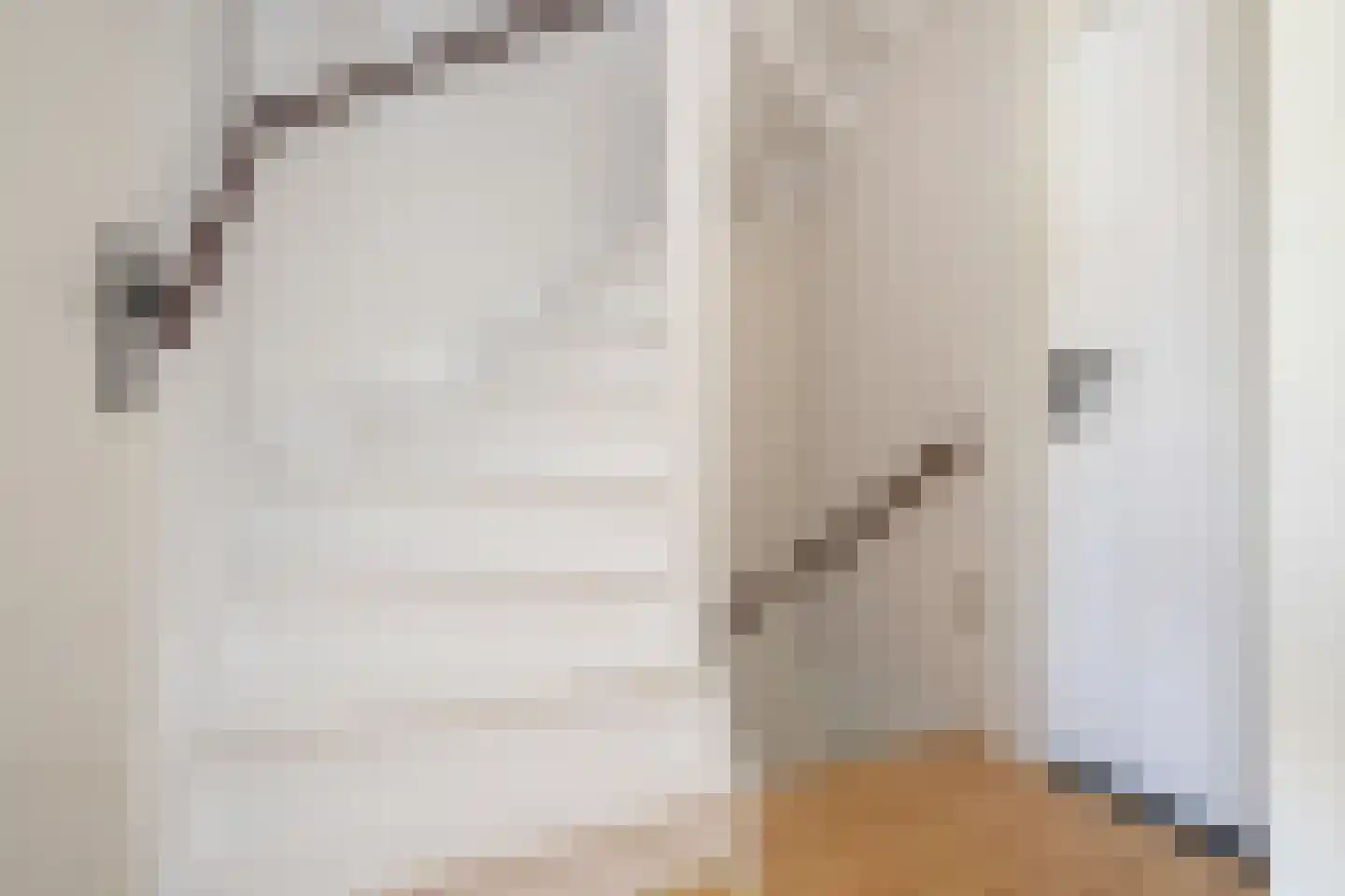 Westerstraat 3 Nieuwe-Tonge thumbnail 13