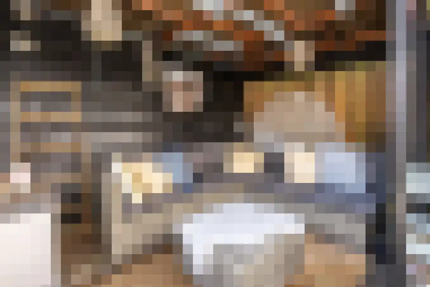 Westerstraat 3 Nieuwe-Tonge thumbnail 25
