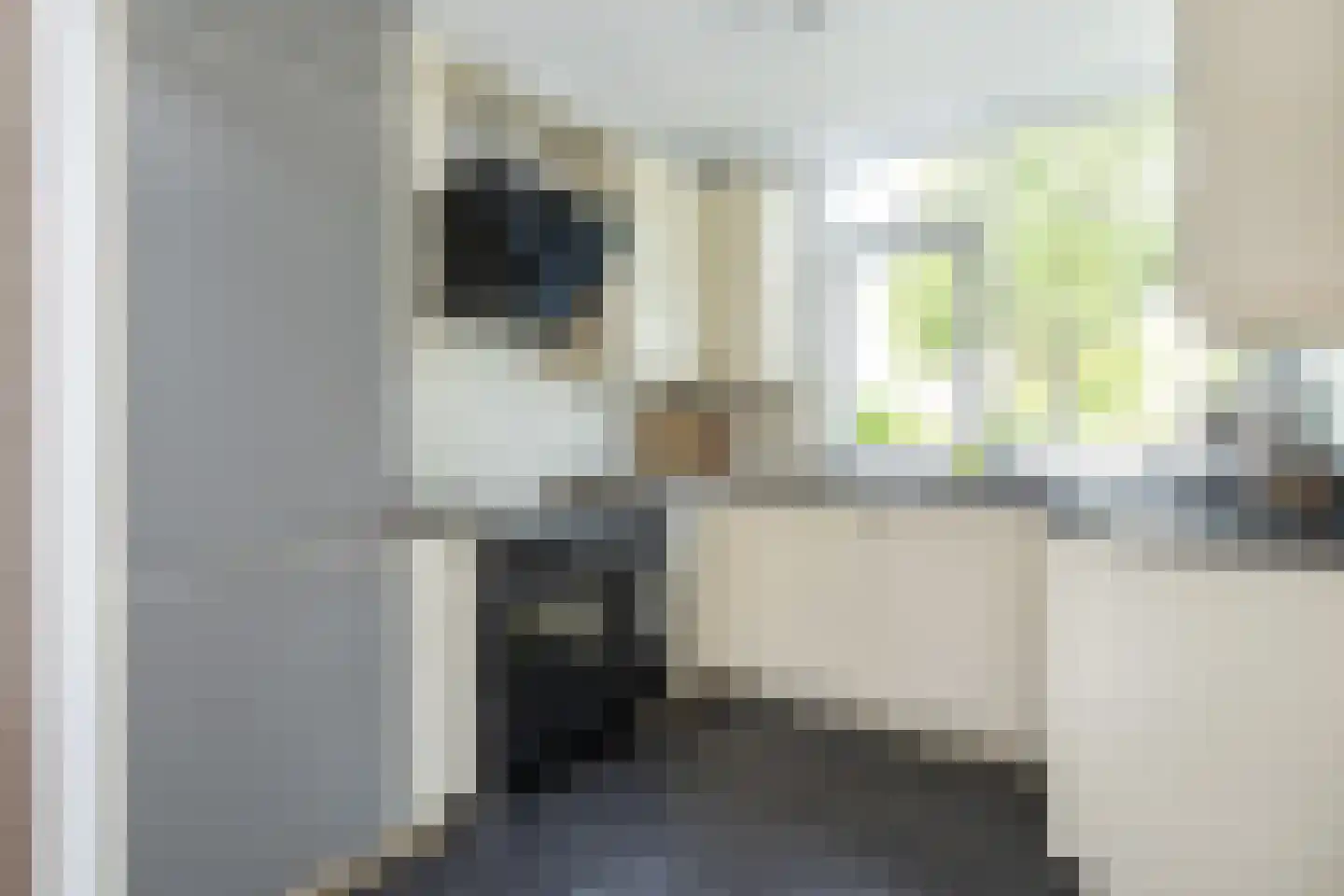 Westerstraat 3 Nieuwe-Tonge thumbnail 8