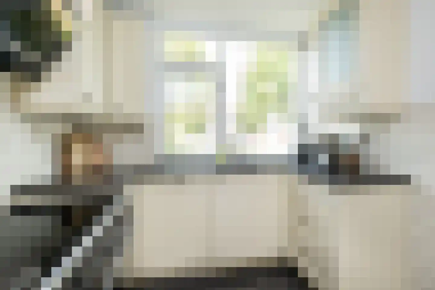 Westerstraat 3 Nieuwe-Tonge thumbnail 9