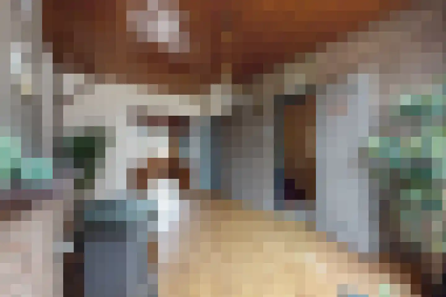 Westerstraat 31 Dinteloord thumbnail 10