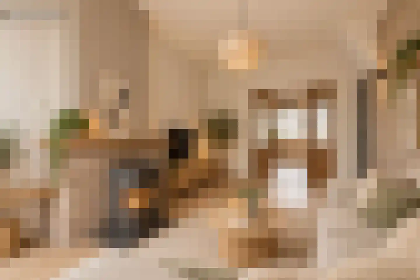 Westerstraat 31 Dinteloord thumbnail 12