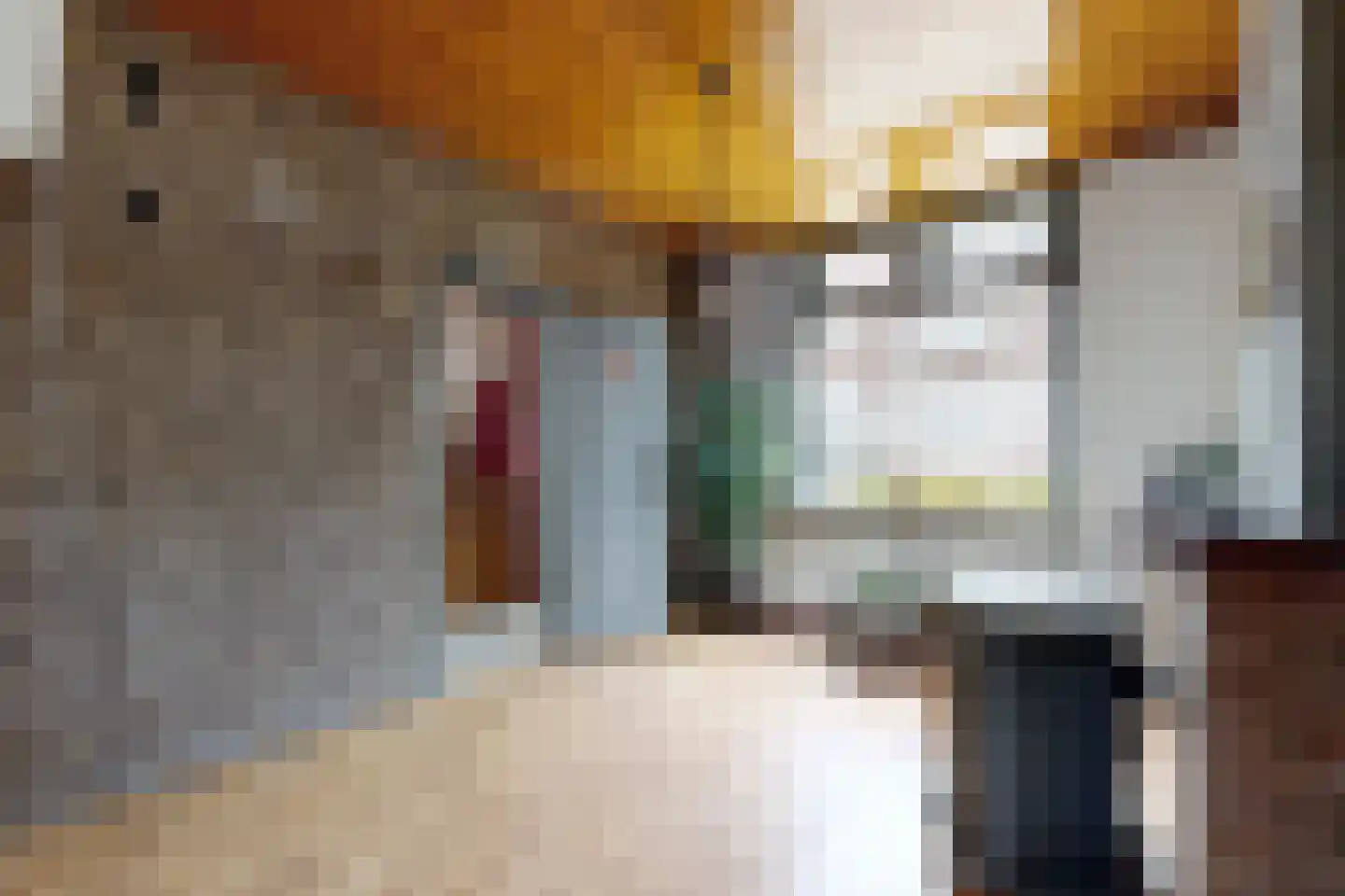 Westerstraat 31 Dinteloord thumbnail 14