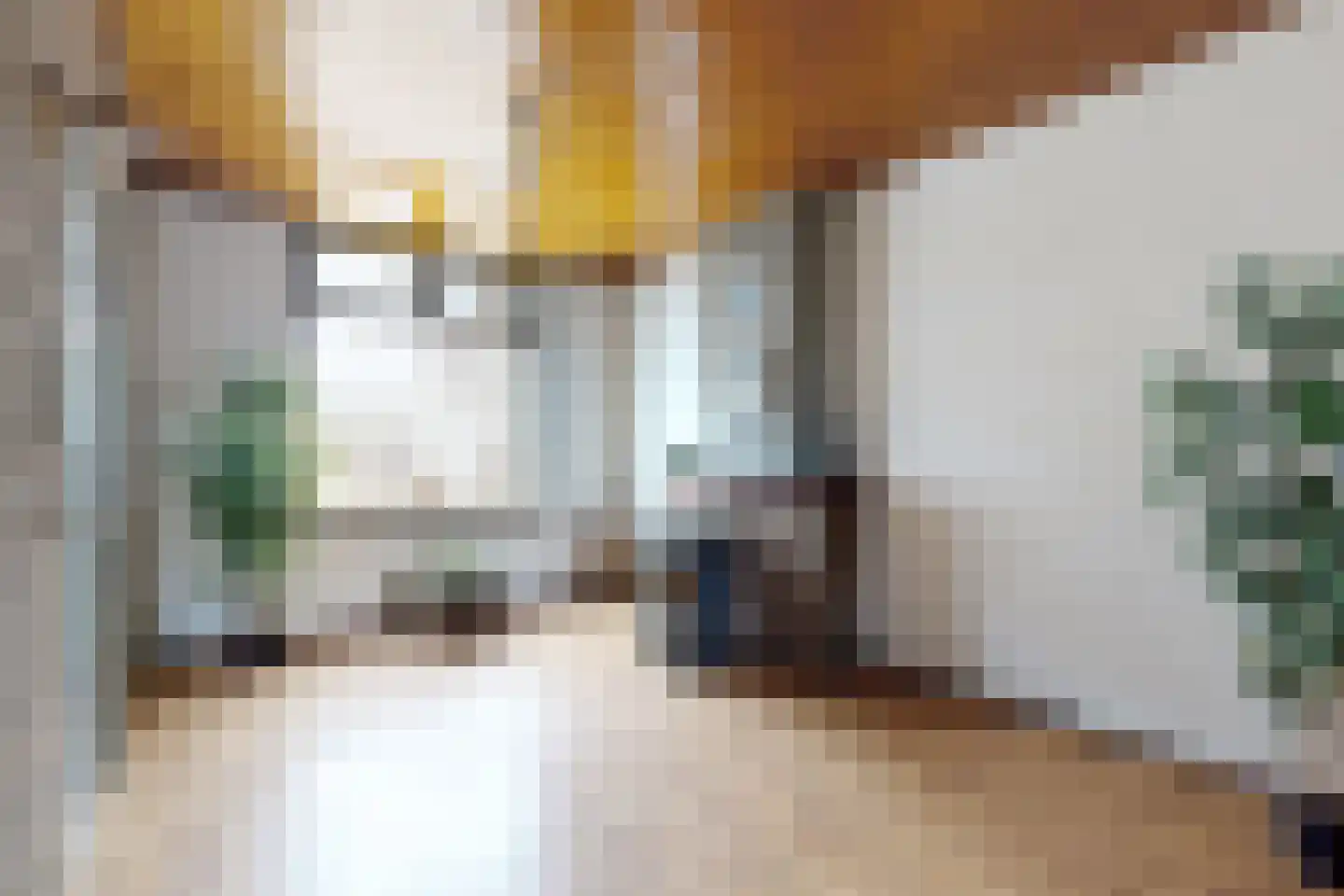 Westerstraat 31 Dinteloord thumbnail 15