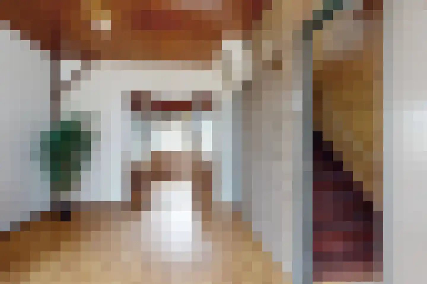 Westerstraat 31 Dinteloord thumbnail 16