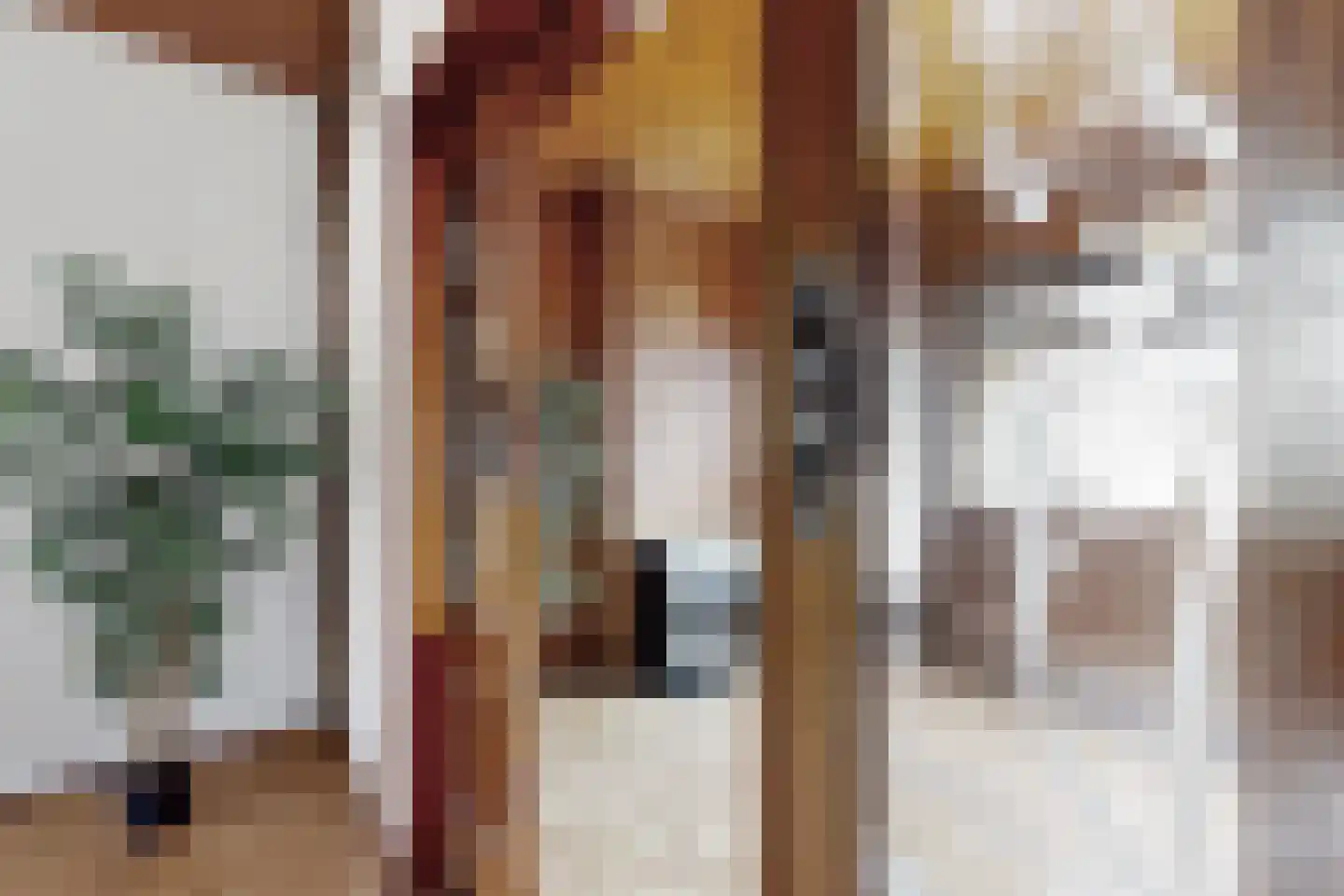 Westerstraat 31 Dinteloord thumbnail 17