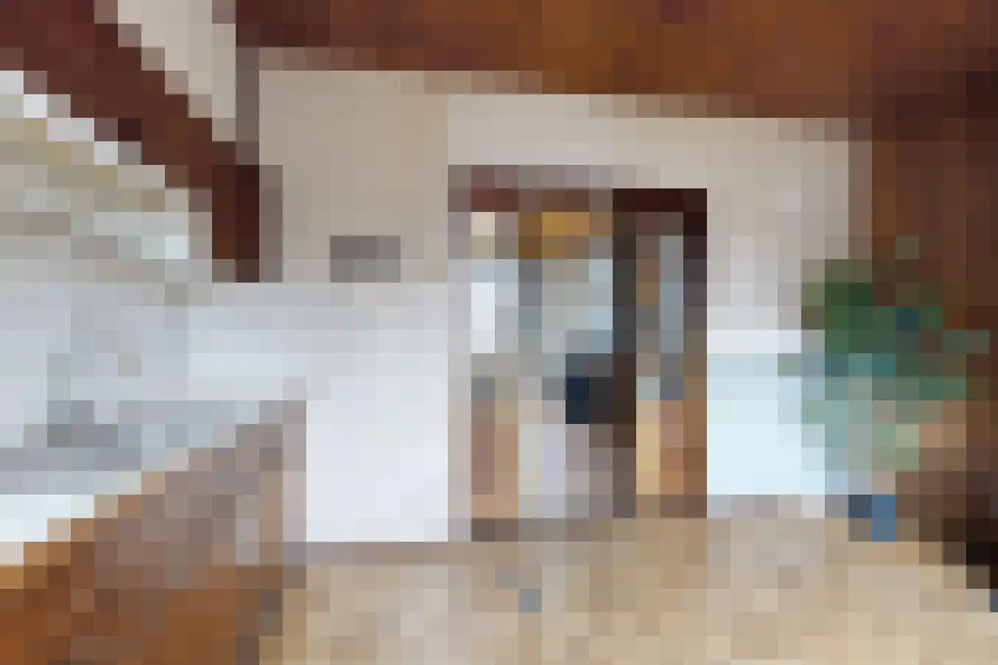 Westerstraat 31 Dinteloord thumbnail 20