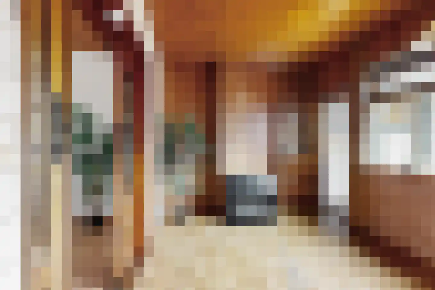 Westerstraat 31 Dinteloord thumbnail 23