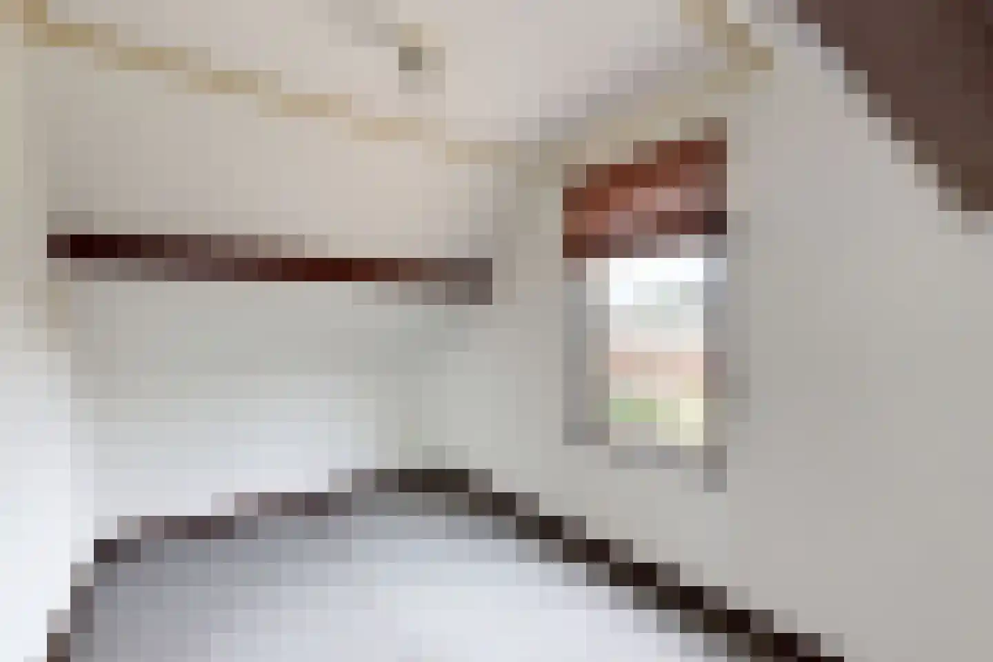Westerstraat 31 Dinteloord thumbnail 33