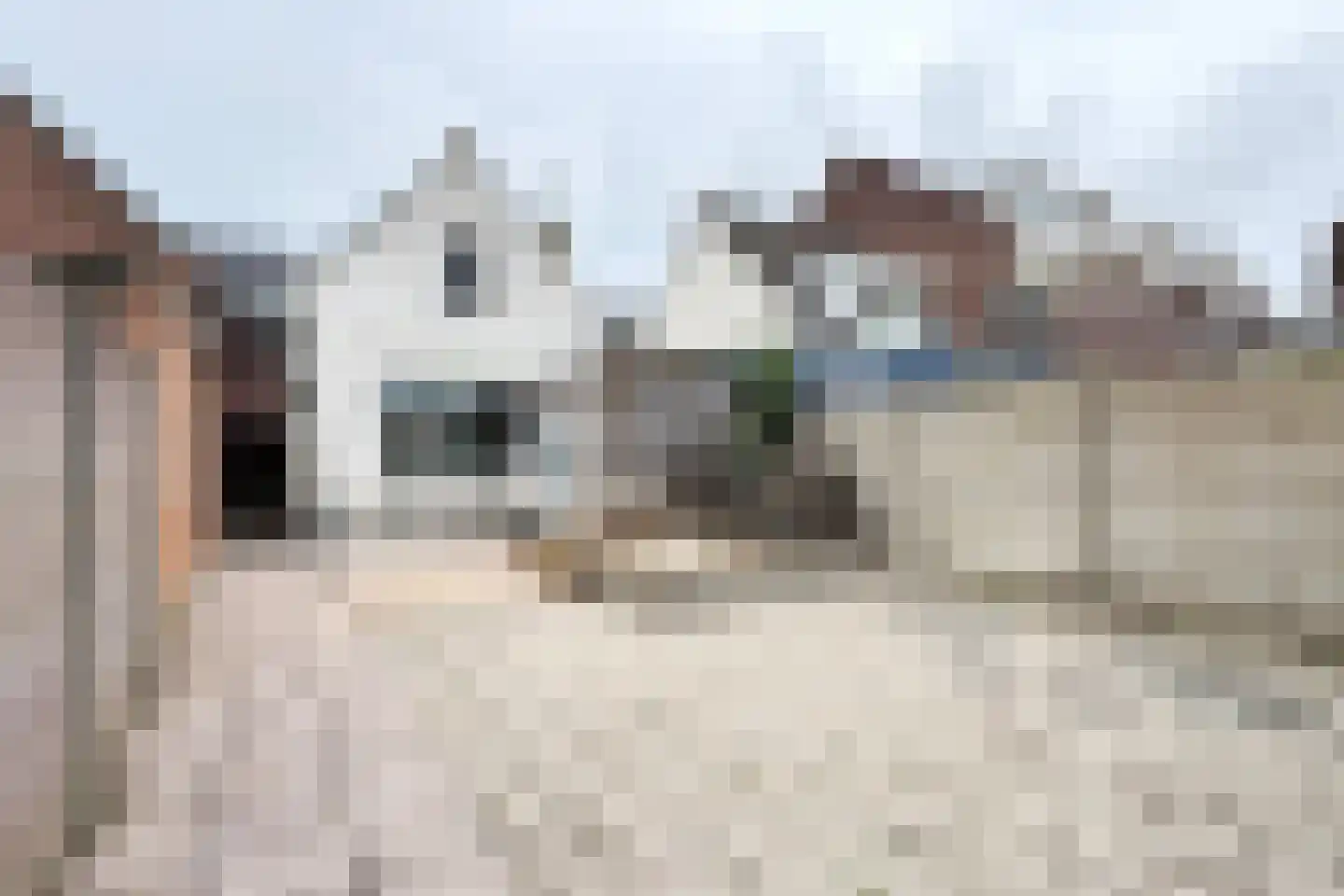 Westerstraat 31 Dinteloord thumbnail 43