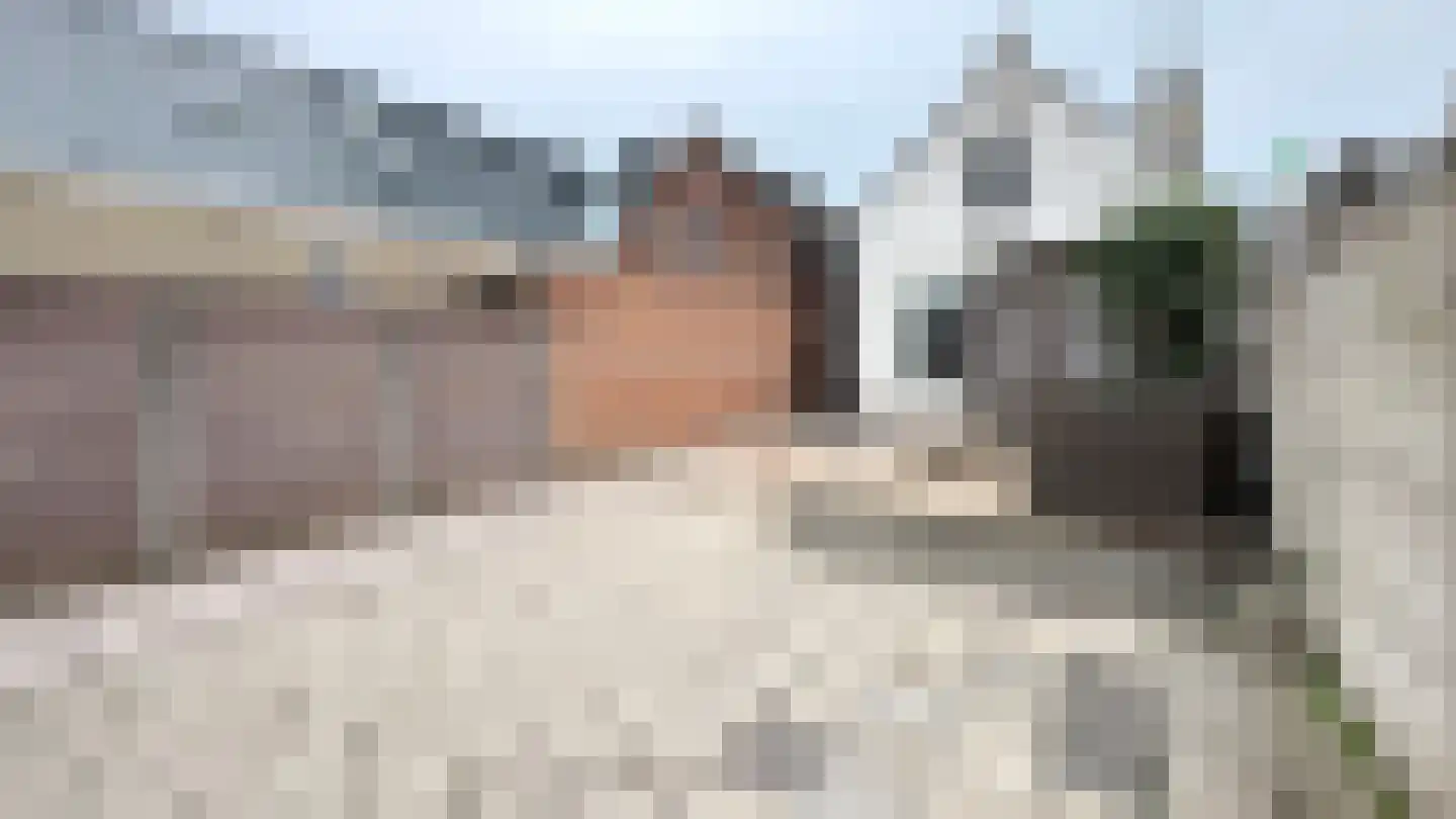 Westerstraat 31 Dinteloord thumbnail 44